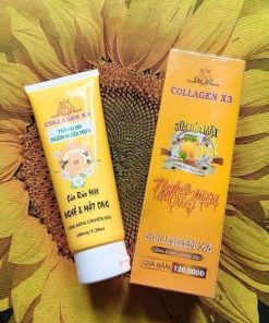 collagen X3